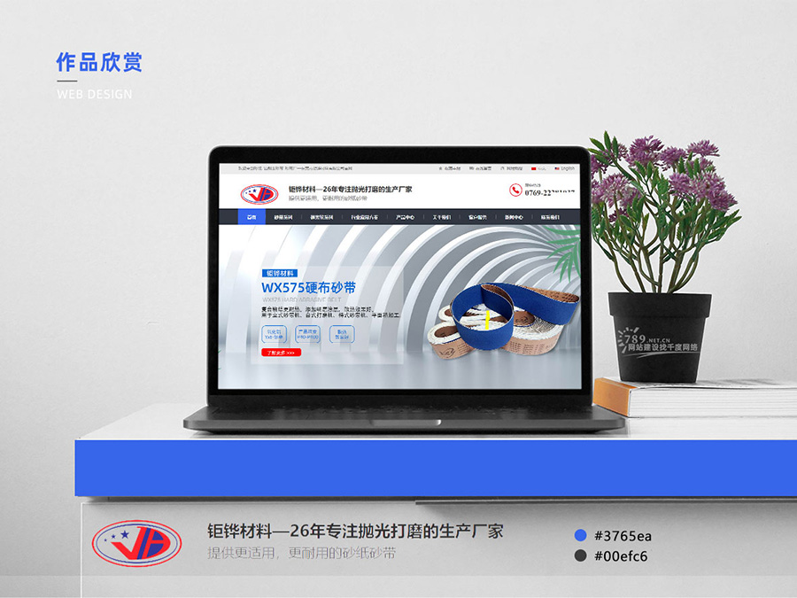 東莞網(wǎng)站建設案例
