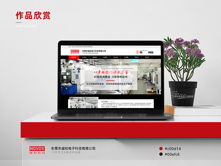 東莞網站建設案例