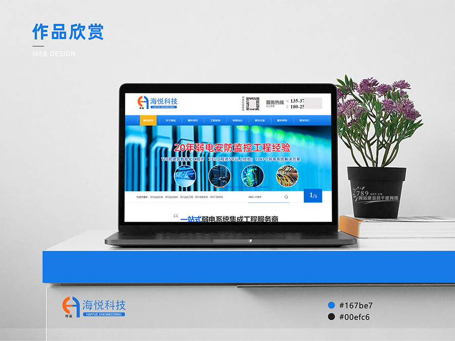 東莞網(wǎng)站建設案例
