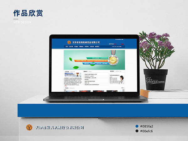 選對網(wǎng)站搭建公司，省心又劃算！